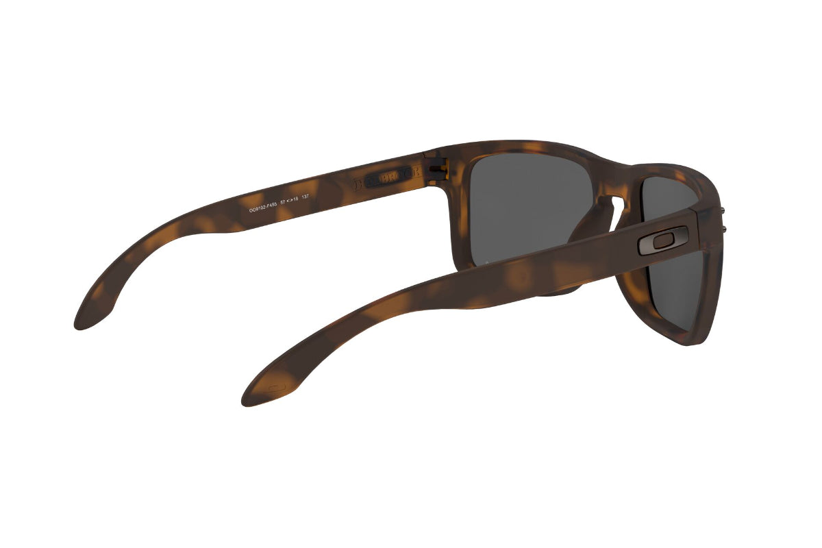 Oakley Holbrook Prizm