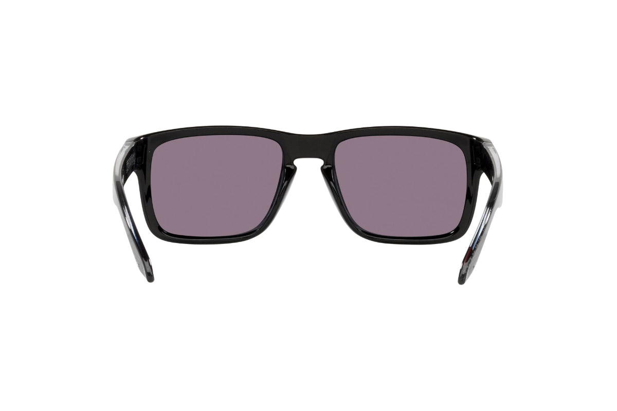 Oakley Holbrook Prizm