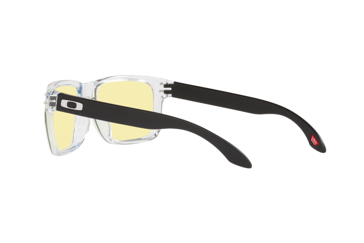 Oakley Holbrook Prizm