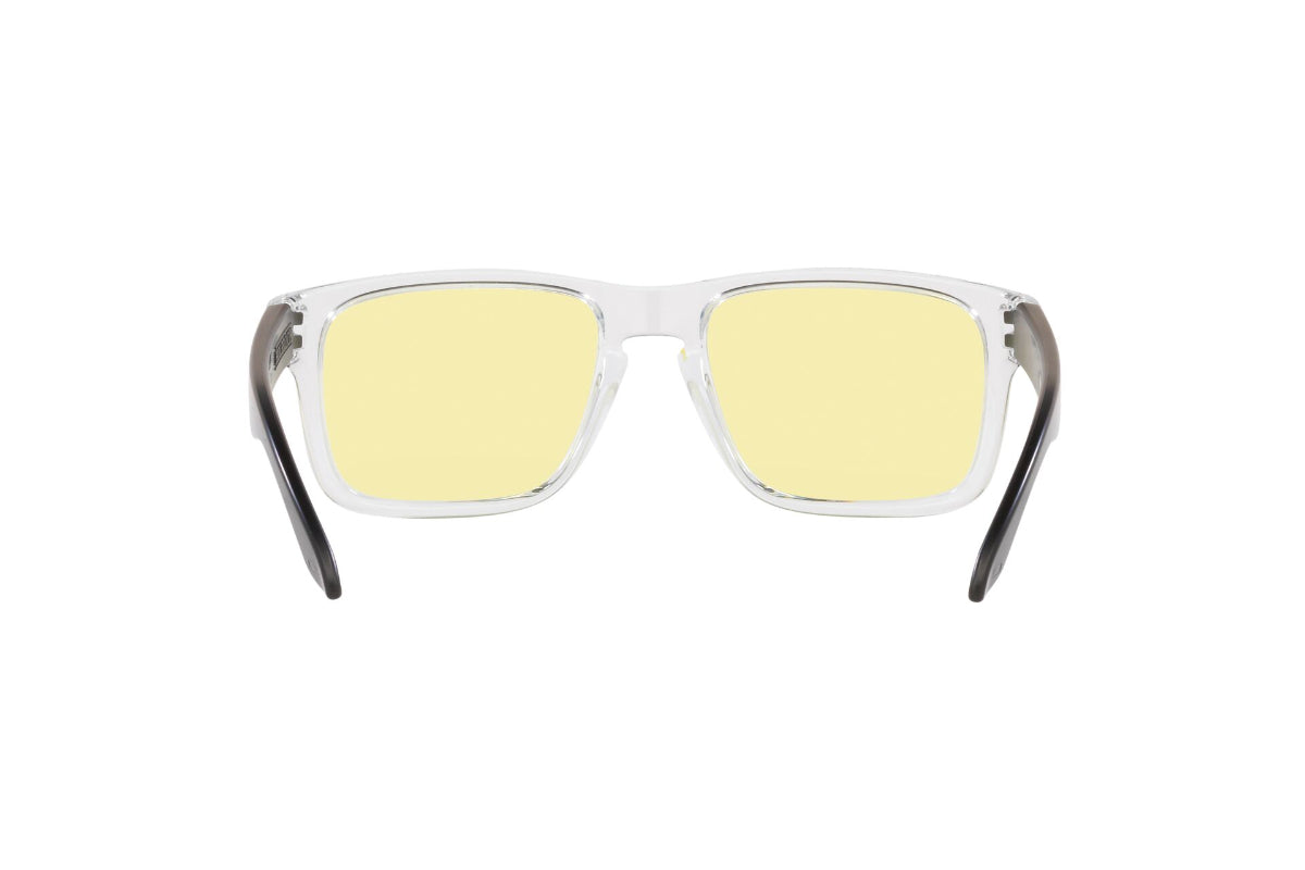 Oakley Holbrook Prizm