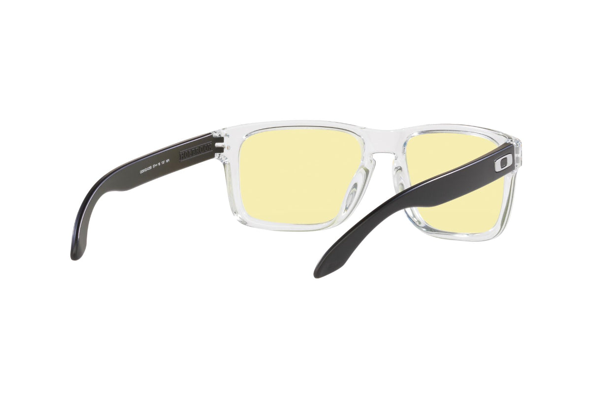 Oakley Holbrook Prizm