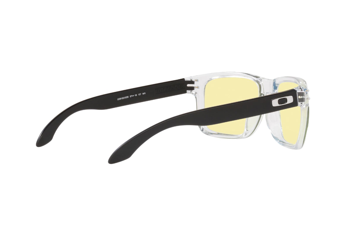 Oakley Holbrook Prizm