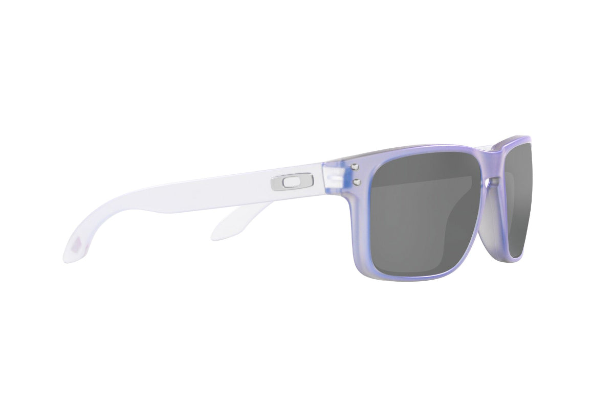 Oakley Holbrook Prizm