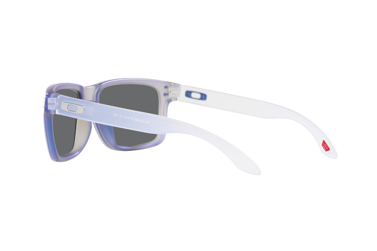 Oakley Holbrook Prizm