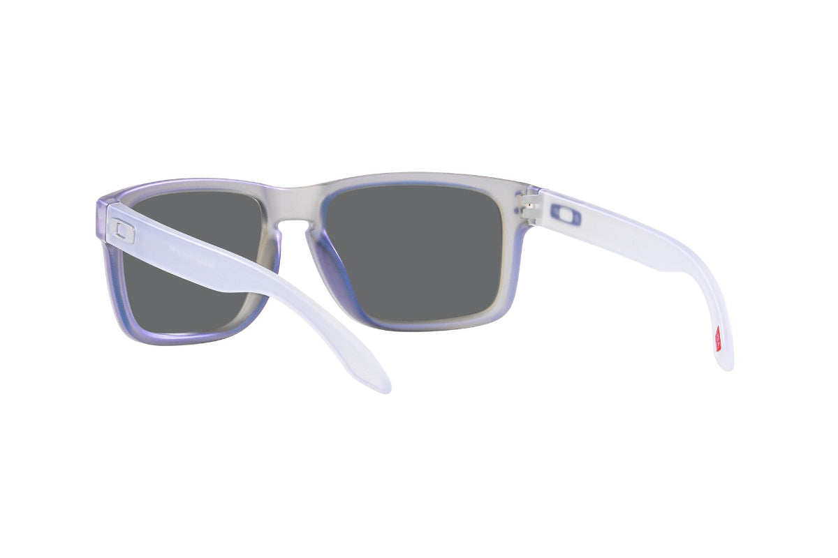 Oakley Holbrook Prizm