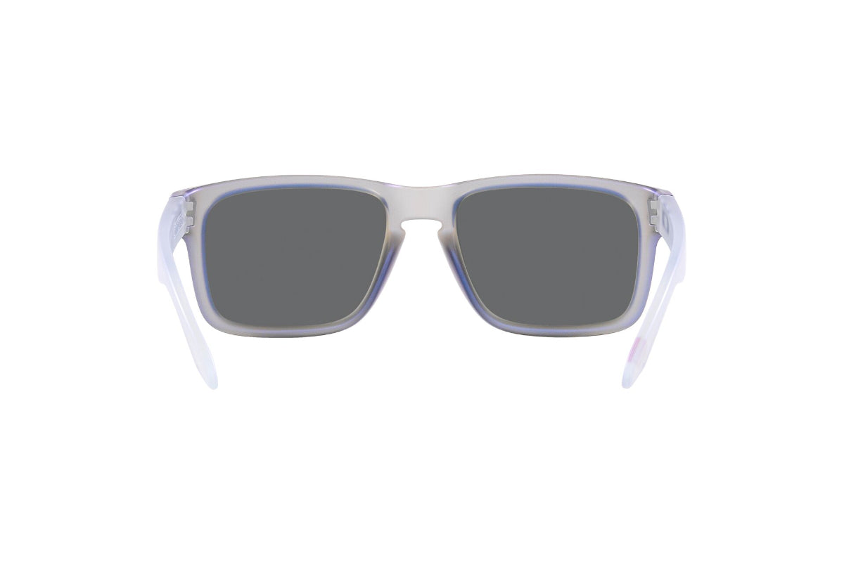 Oakley Holbrook Prizm