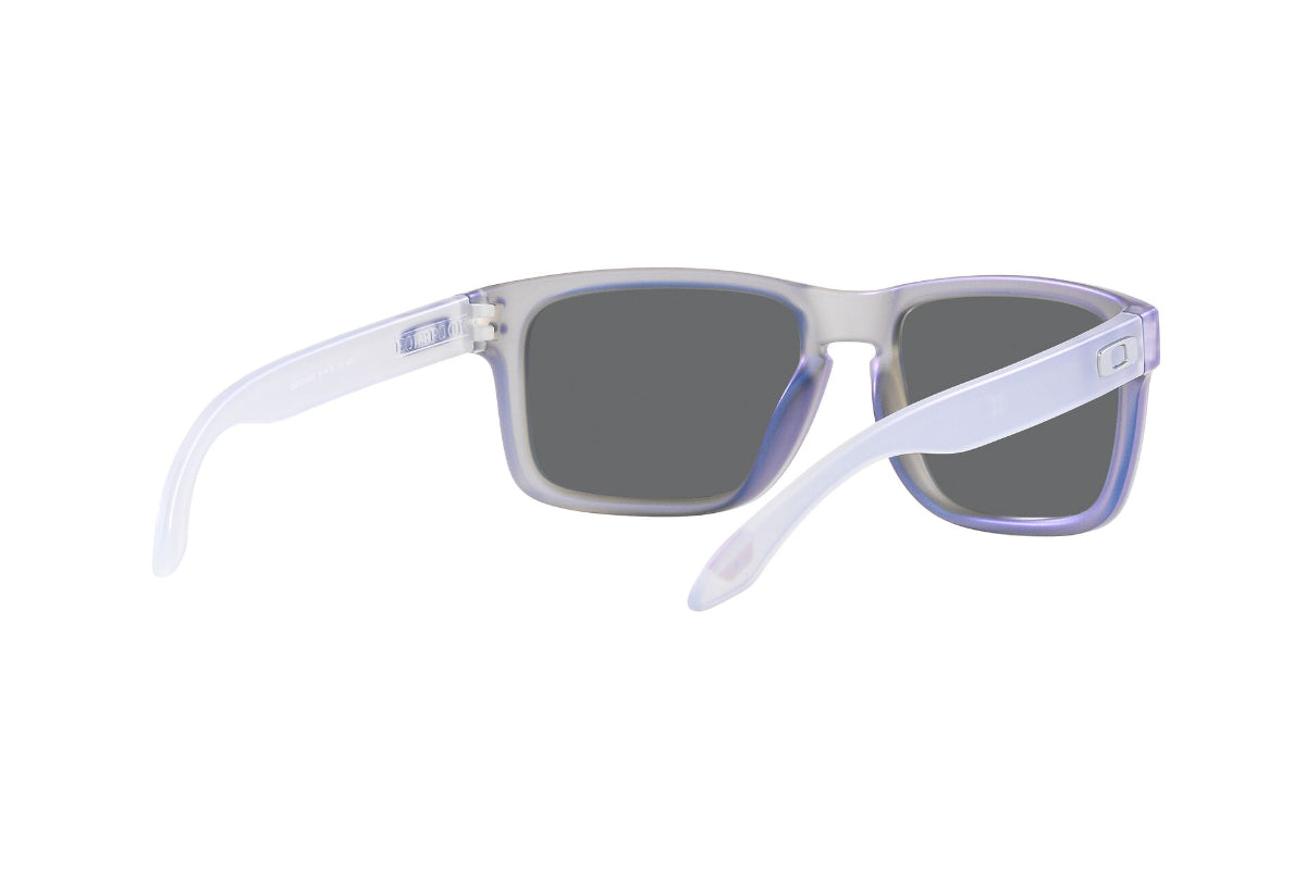 Oakley Holbrook Prizm
