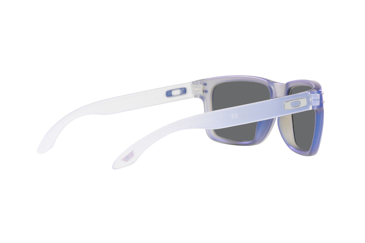 Oakley Holbrook Prizm
