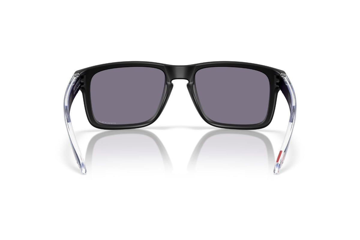 Oakley Holbrook Prizm