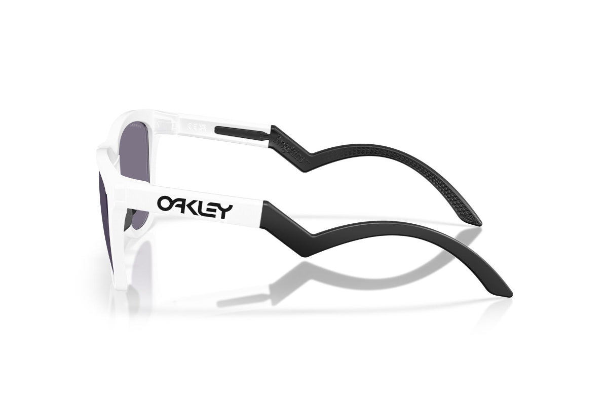 Oakley Frogskins Hybrid Prizm