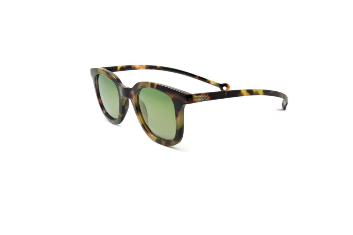 Parafina Lentes de Sol Polarizados