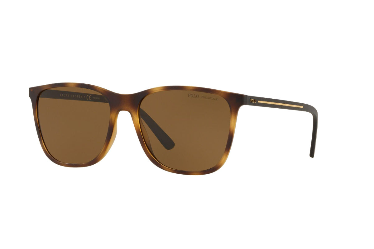 Lentes de Sol Tortoise Polo