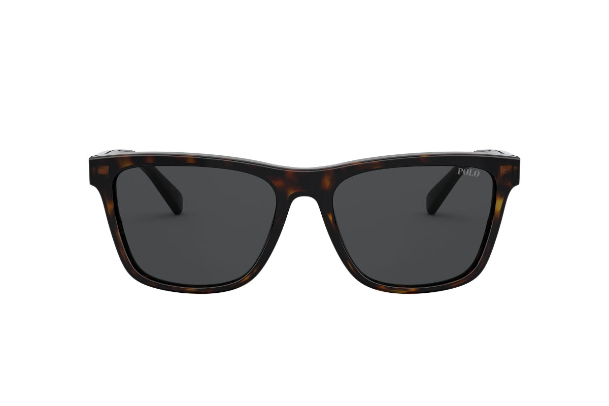 Lentes de Sol Shiny Dark Havana  Polo