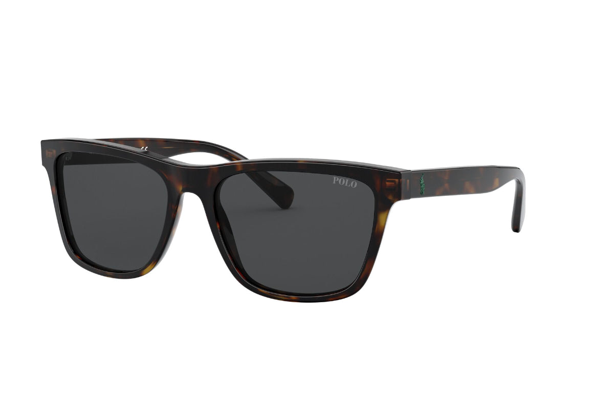 Lentes de Sol Shiny Dark Havana  Polo