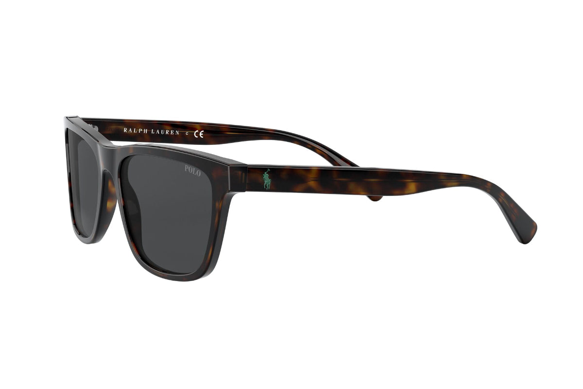 Lentes de Sol Shiny Dark Havana  Polo