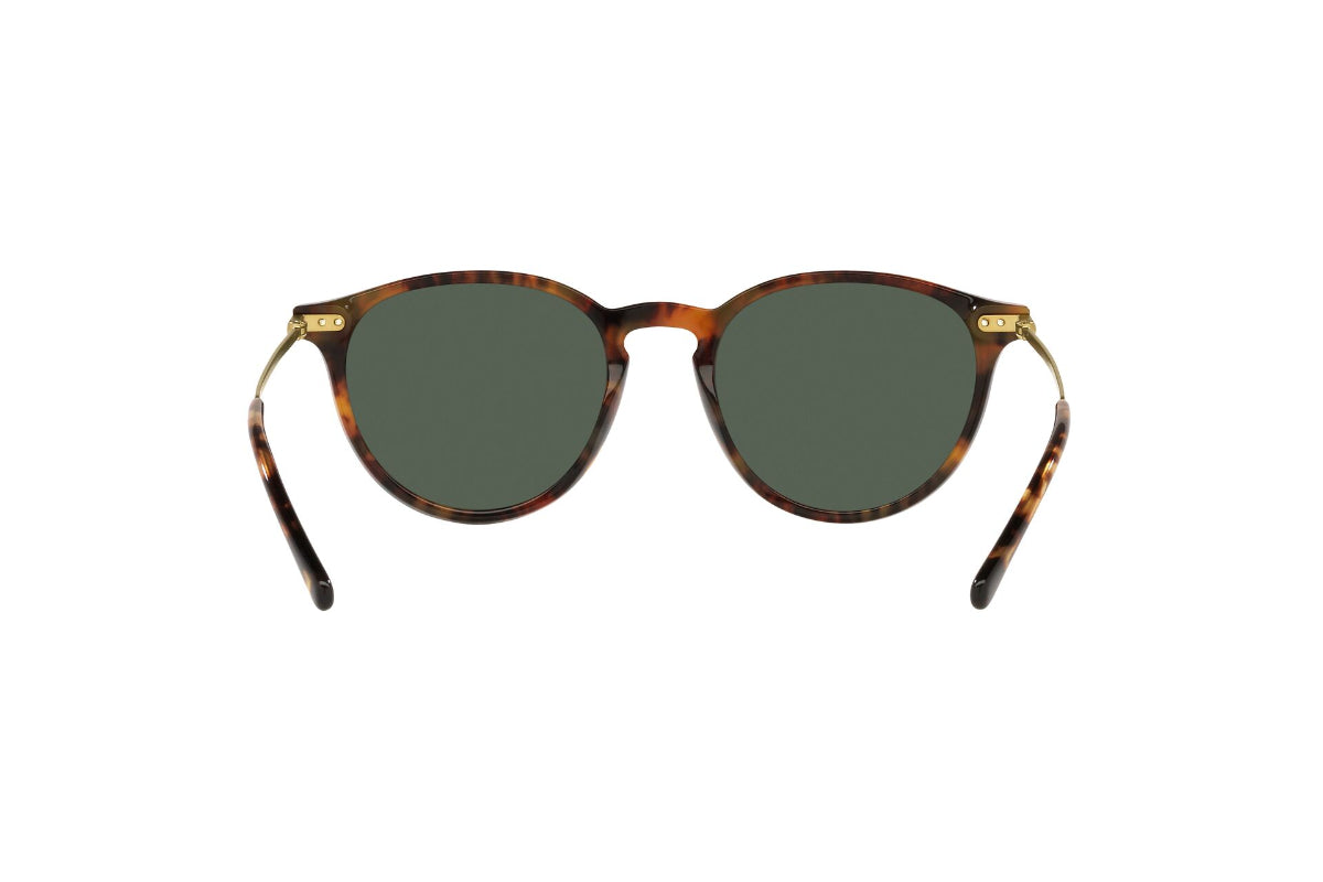 Lentes de Sol Shiny Jerry Tortoise  Polo