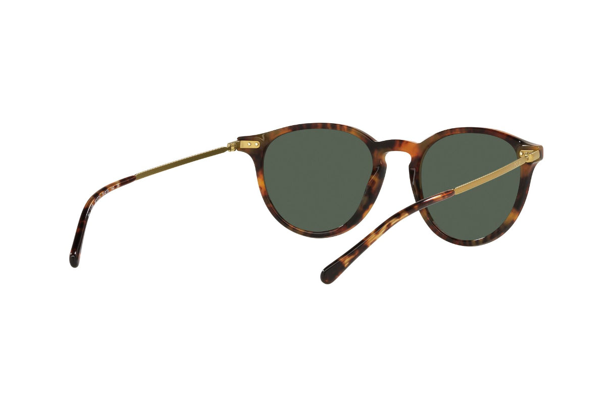 Lentes de Sol Shiny Jerry Tortoise  Polo
