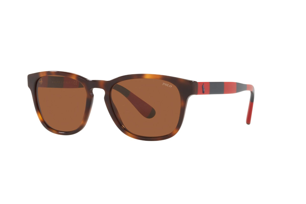 Lentes de Sol Shiny Tortoise Polo Ralph Lauren