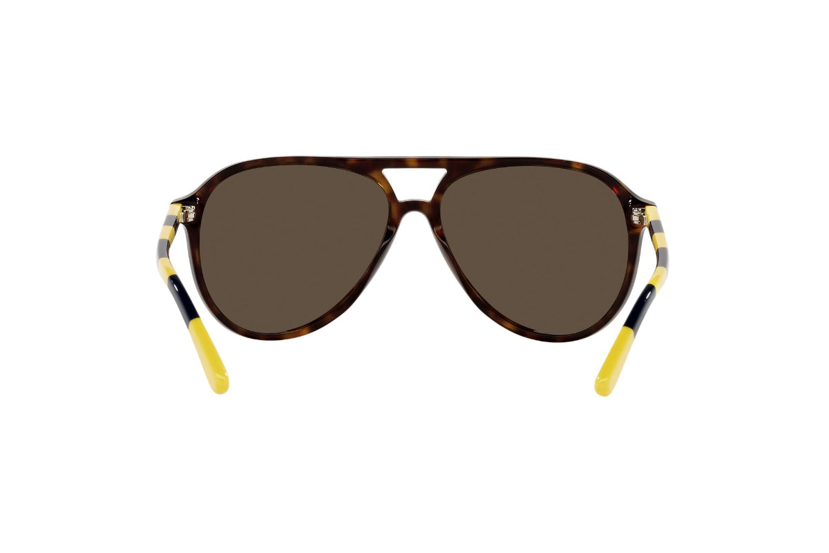 Polo Lentes de Sol
