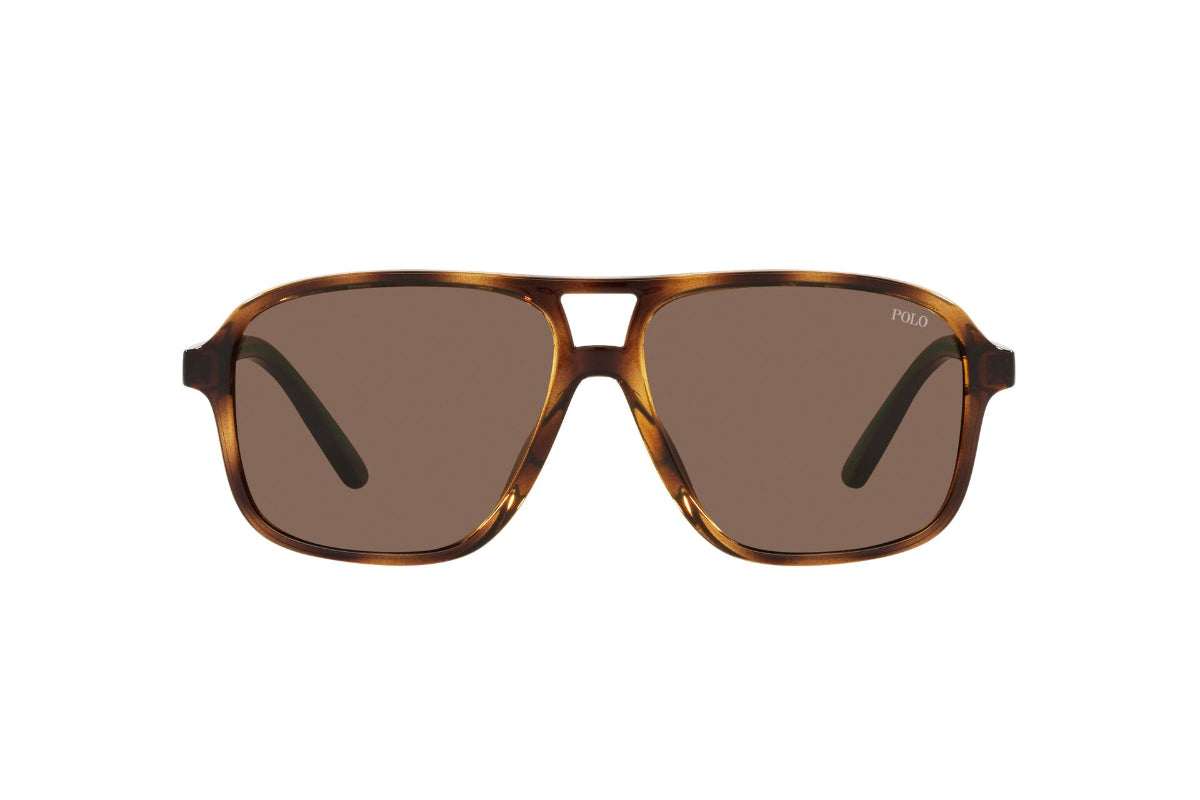 Lentes de Sol Shiny Havana Polo Ralph Lauren