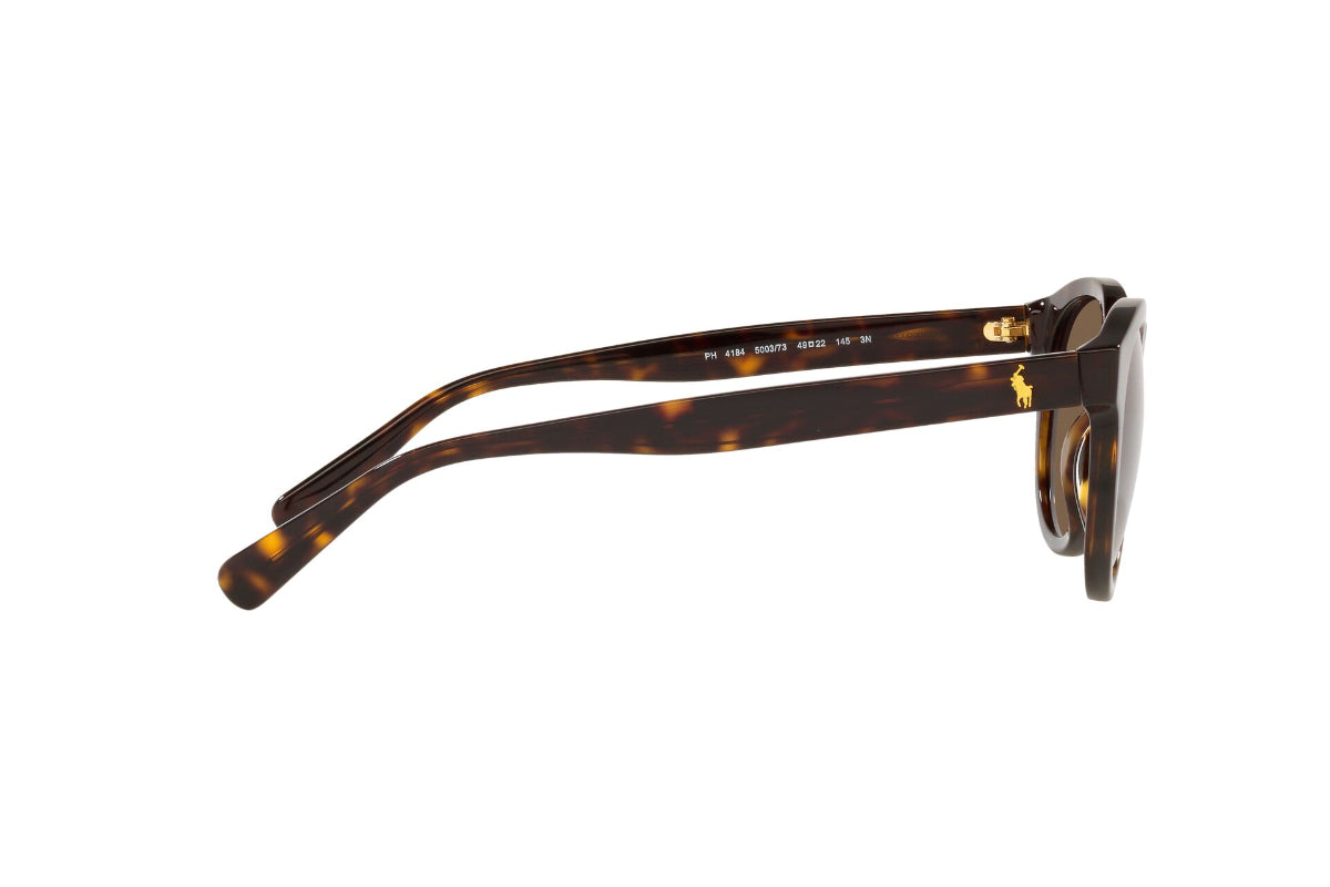 Polo Lentes de Sol