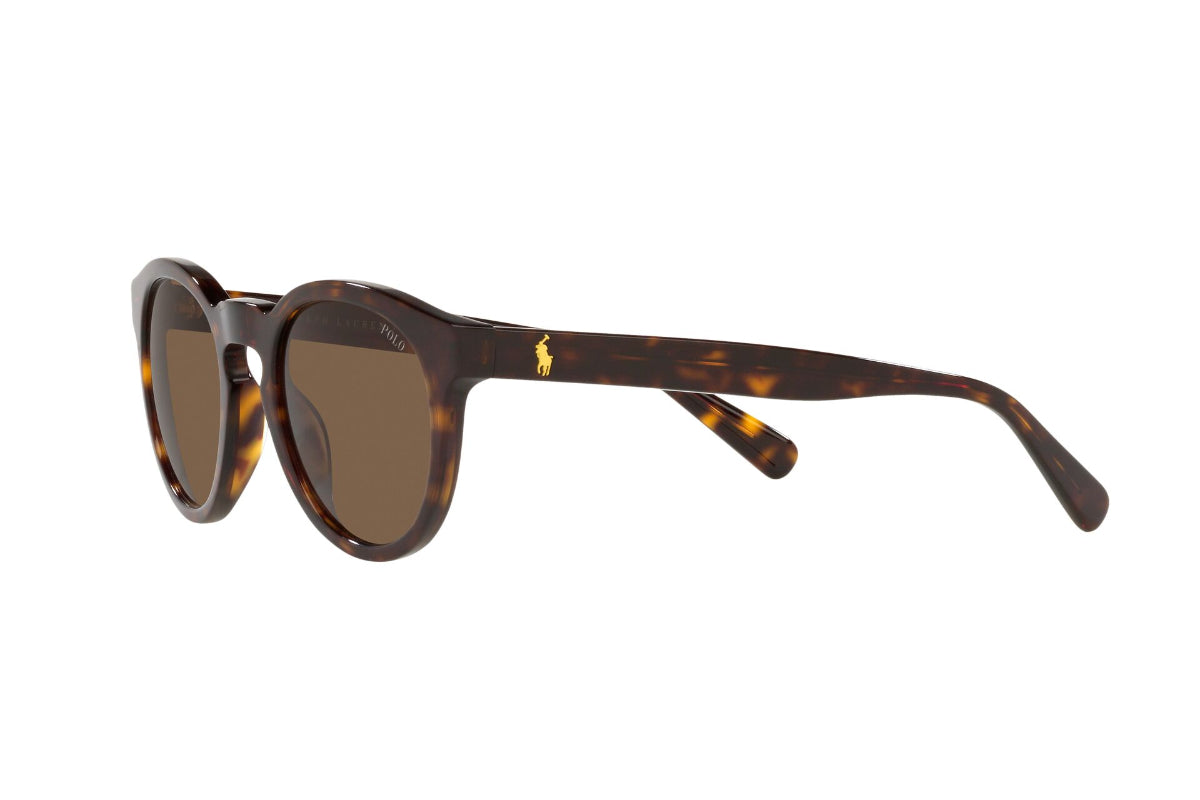 Polo Lentes de Sol