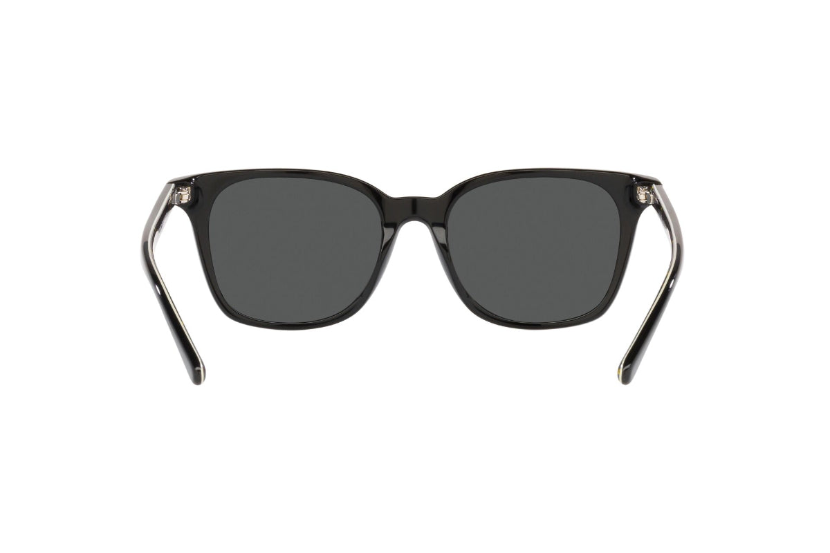 Polo Lentes de Sol