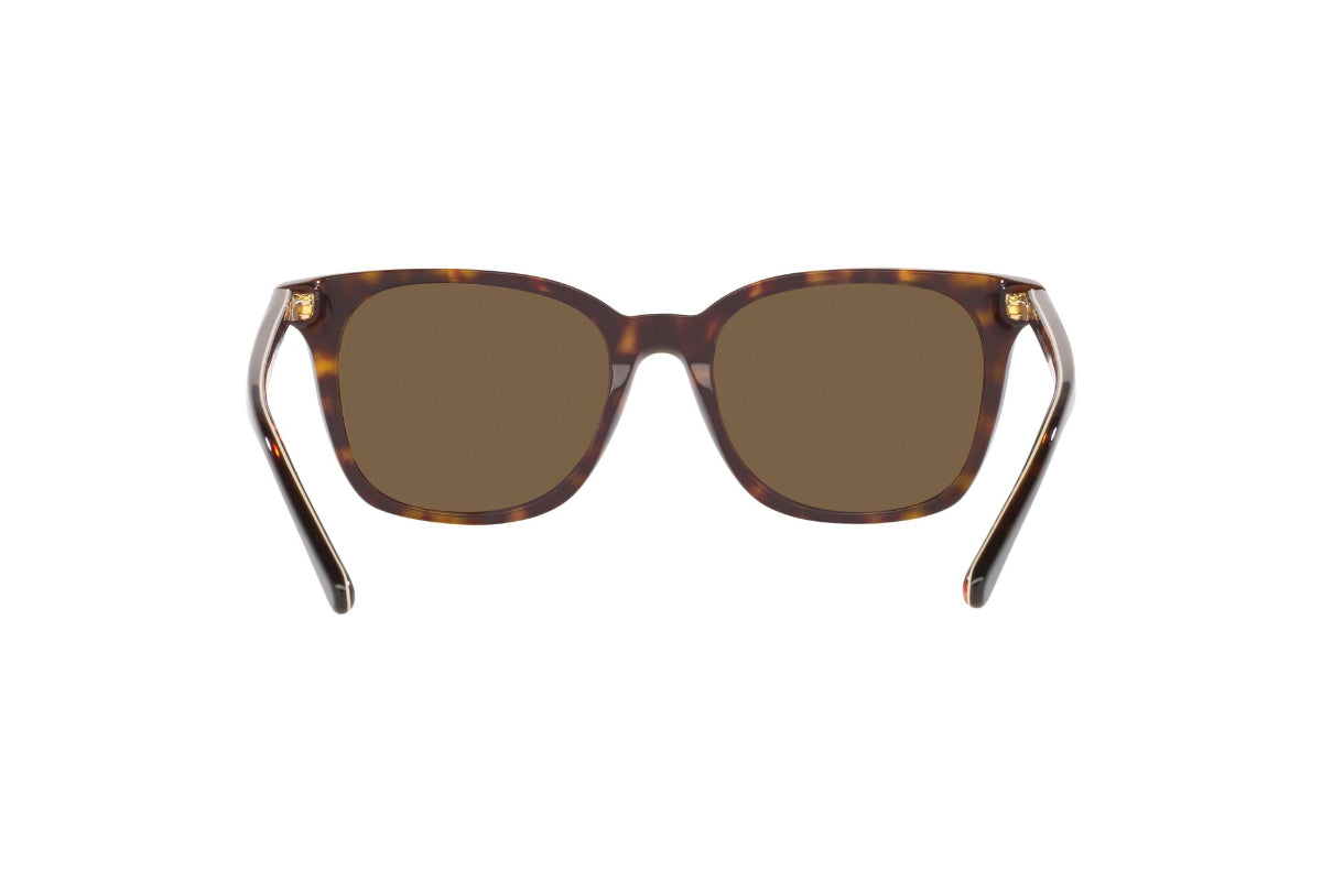 Polo Lentes de Sol
