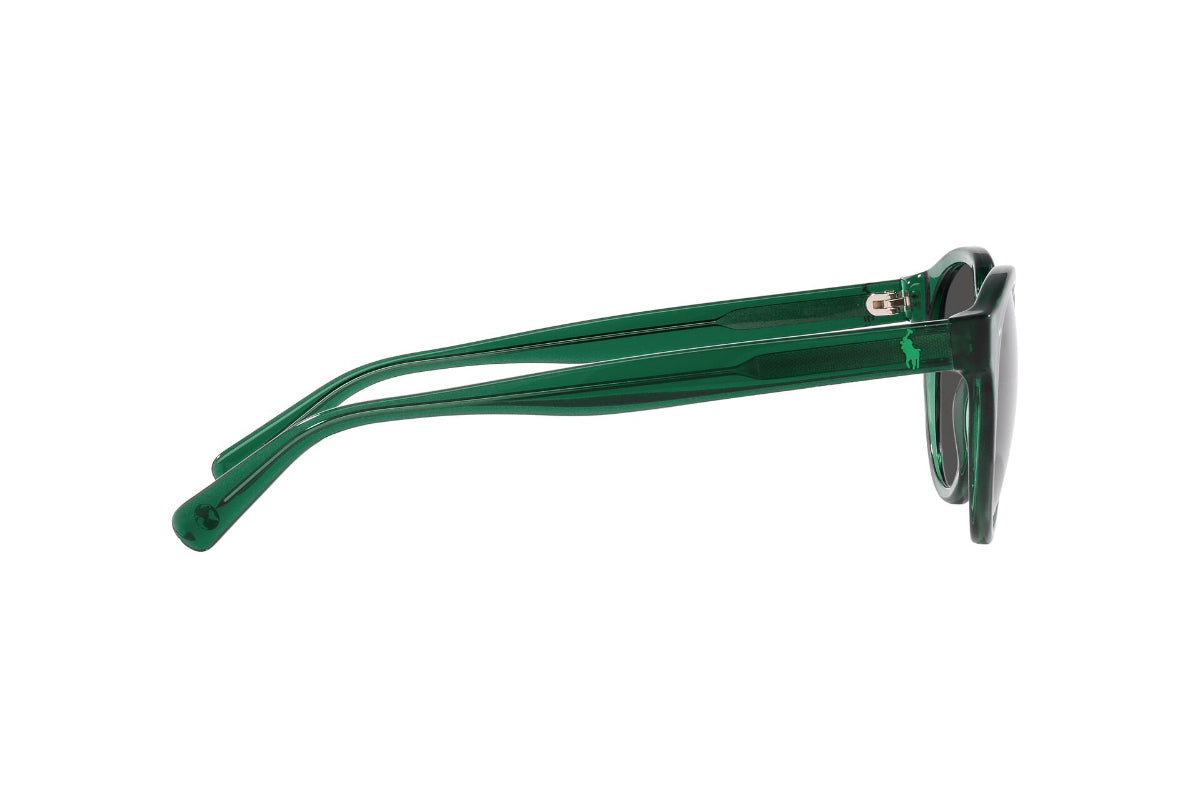 Polo Lentes de Sol