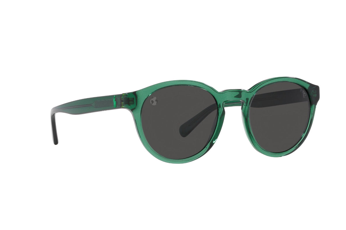 Polo Lentes de Sol