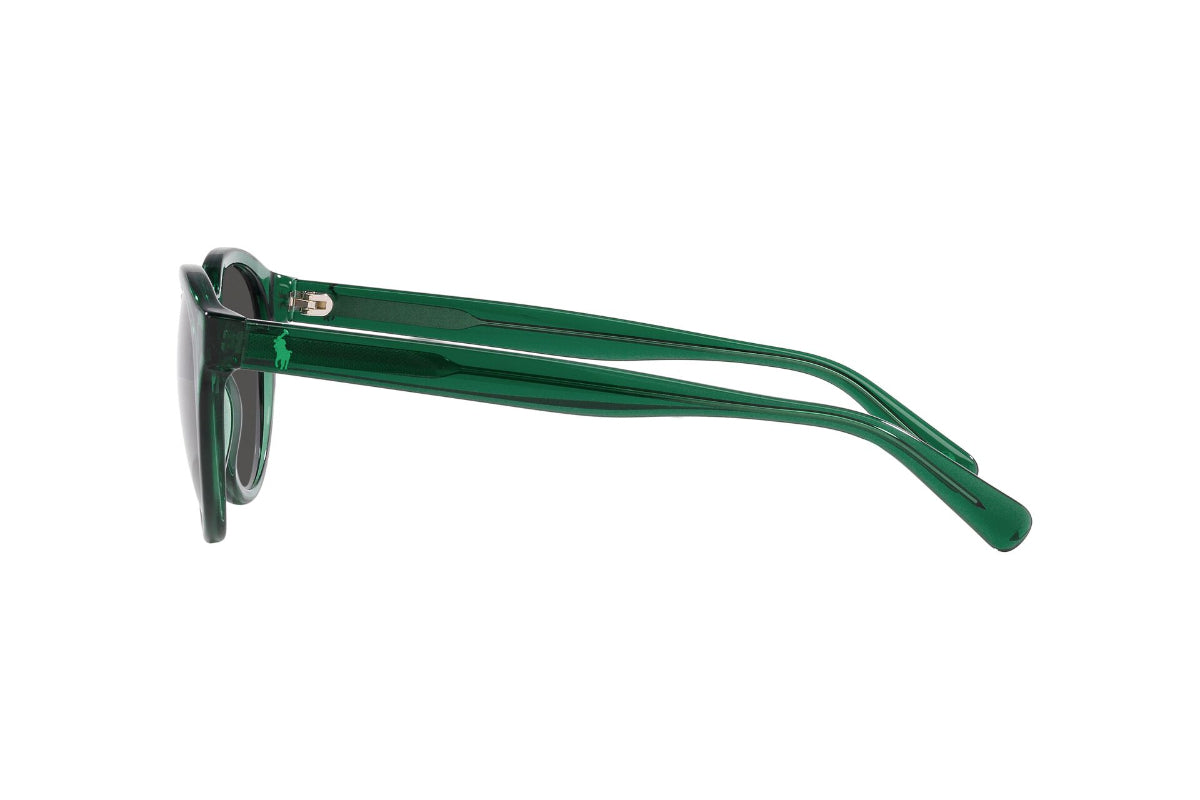Polo Lentes de Sol