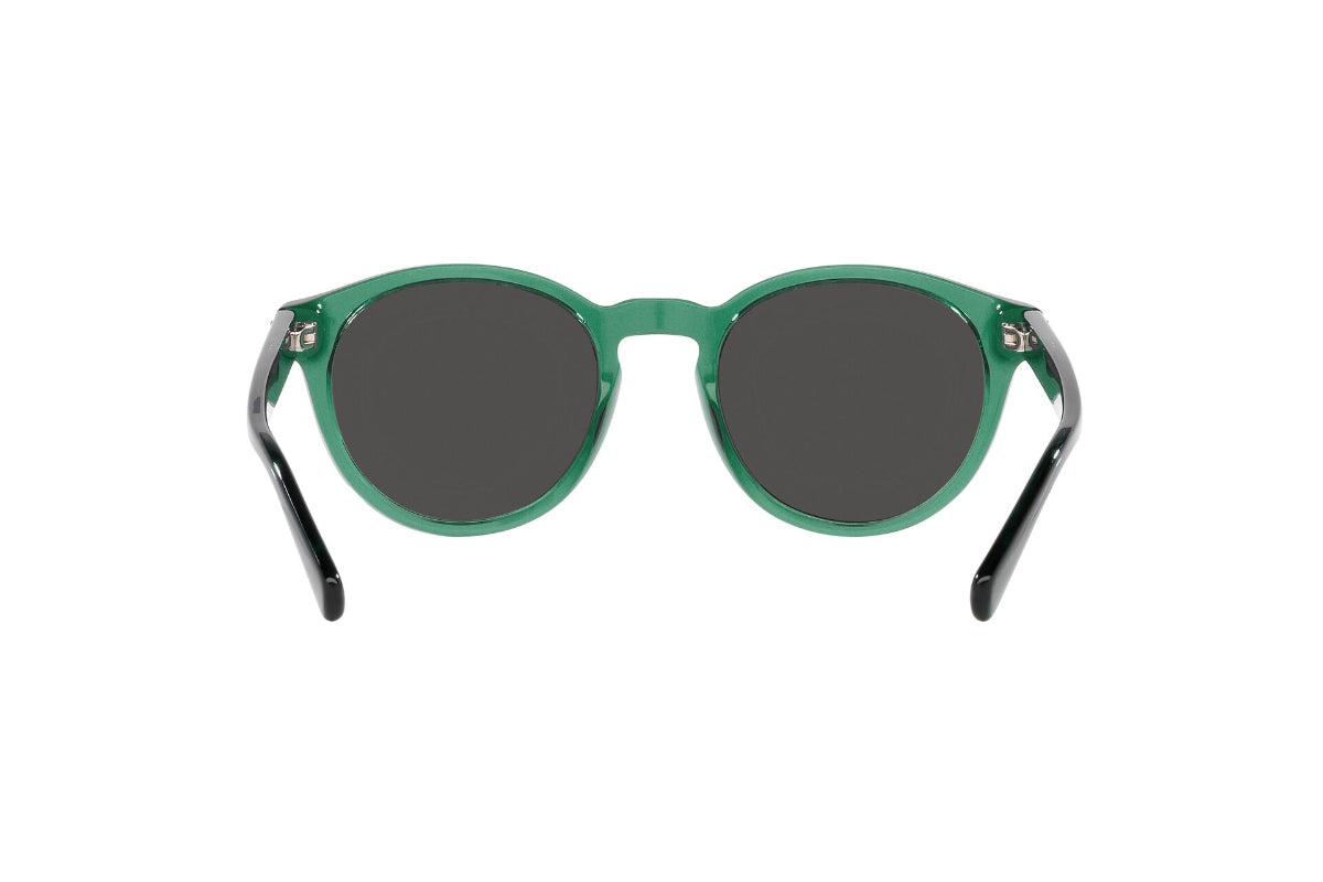 Polo Lentes de Sol