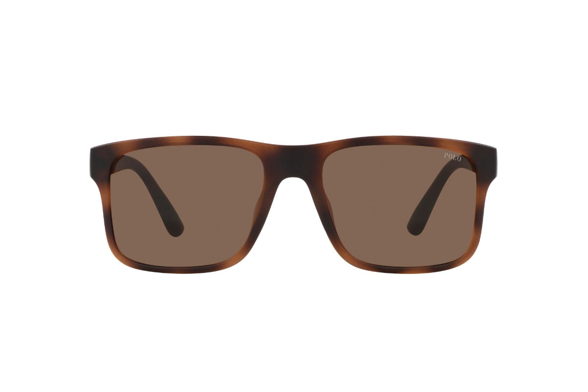 Polo Lentes de Sol