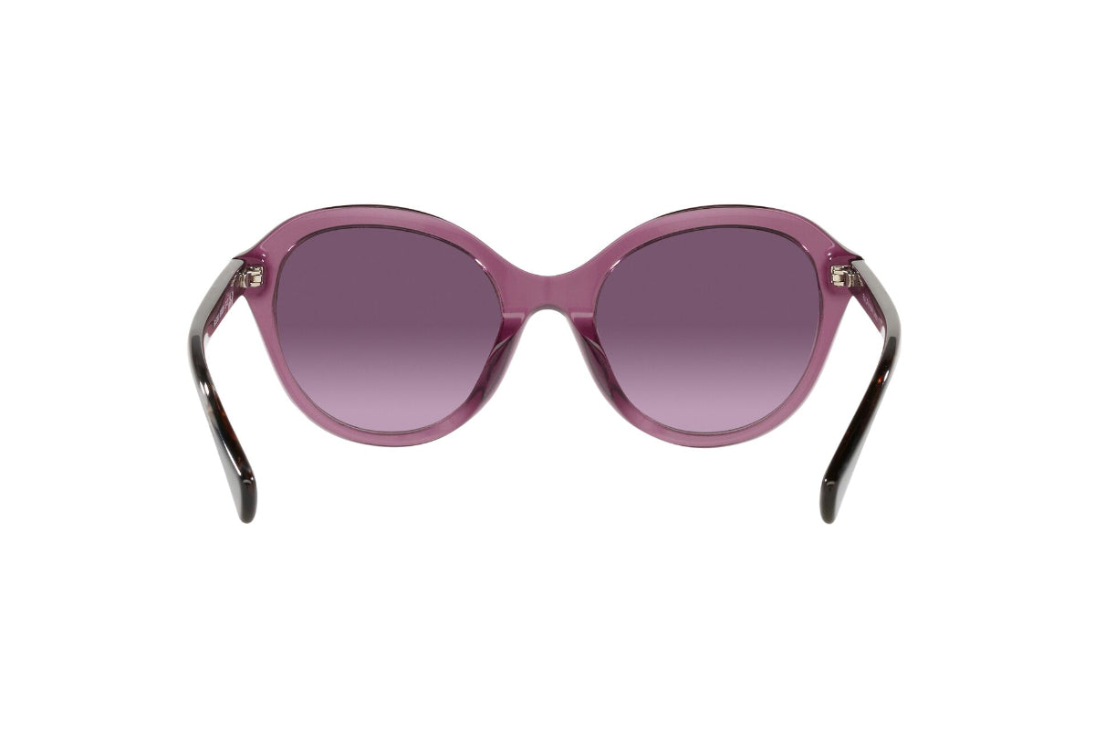 Ralph Lentes de Sol