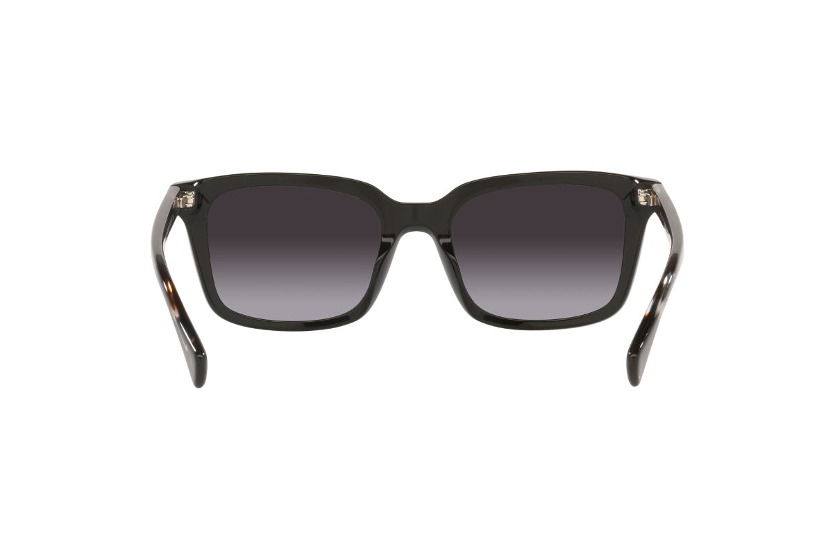Ralph Lentes de Sol