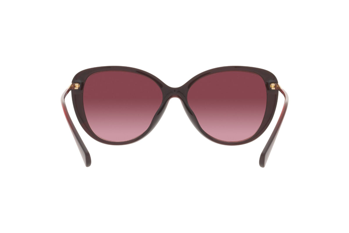 Ralph Lentes de Sol
