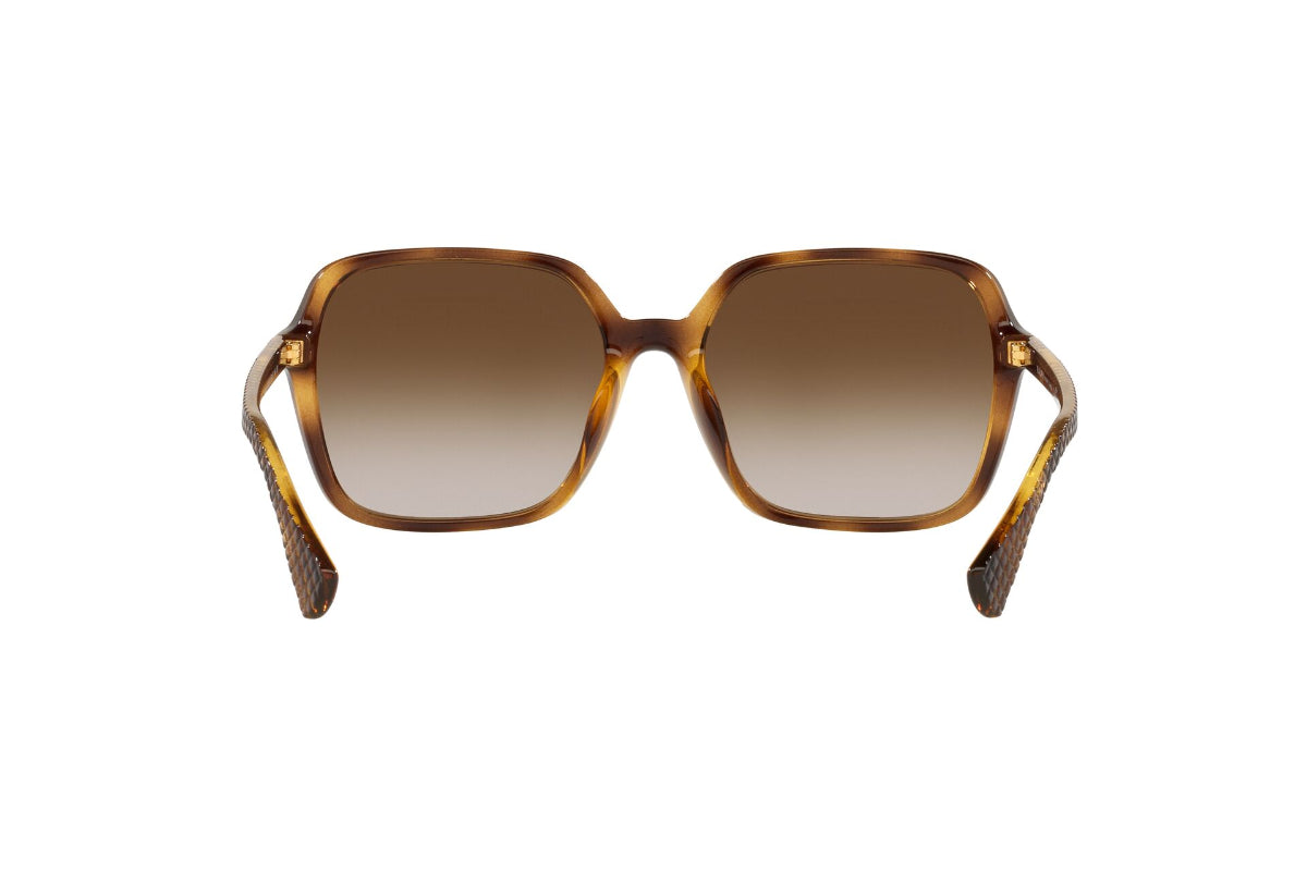 Ralph Lentes de Sol