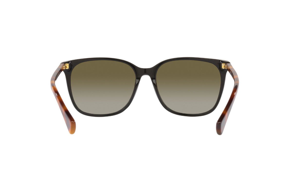Ralph Lentes de Sol