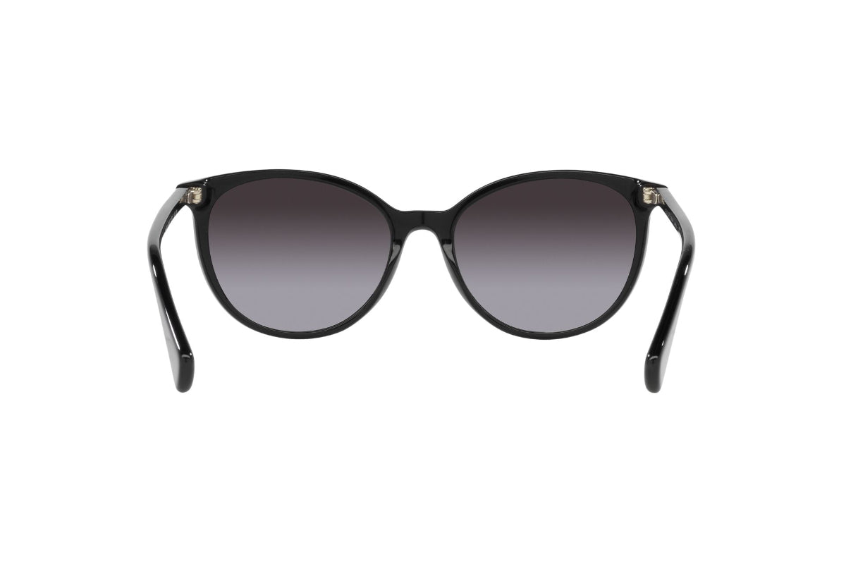 Ralph Lentes de Sol