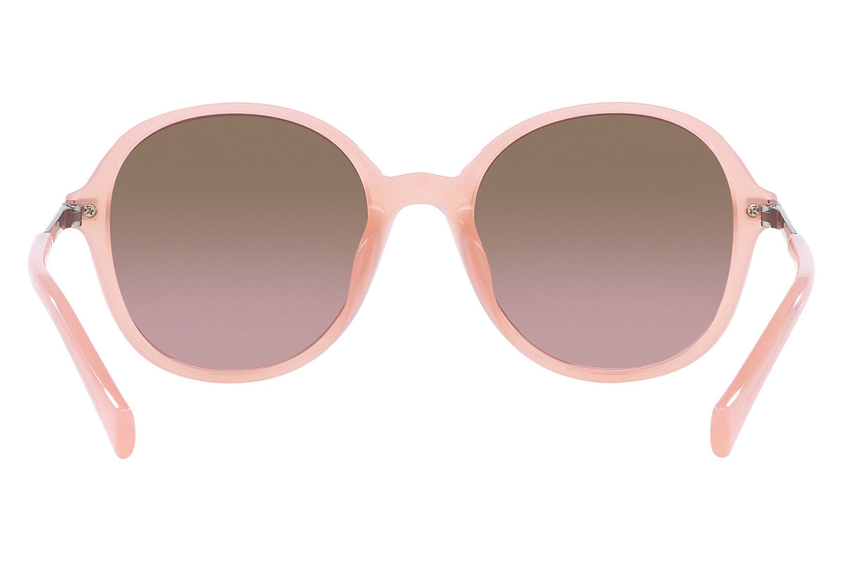 Ralph Lentes de Sol