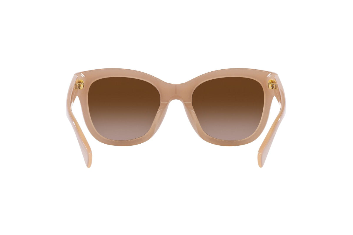 Ralph Lentes de Sol