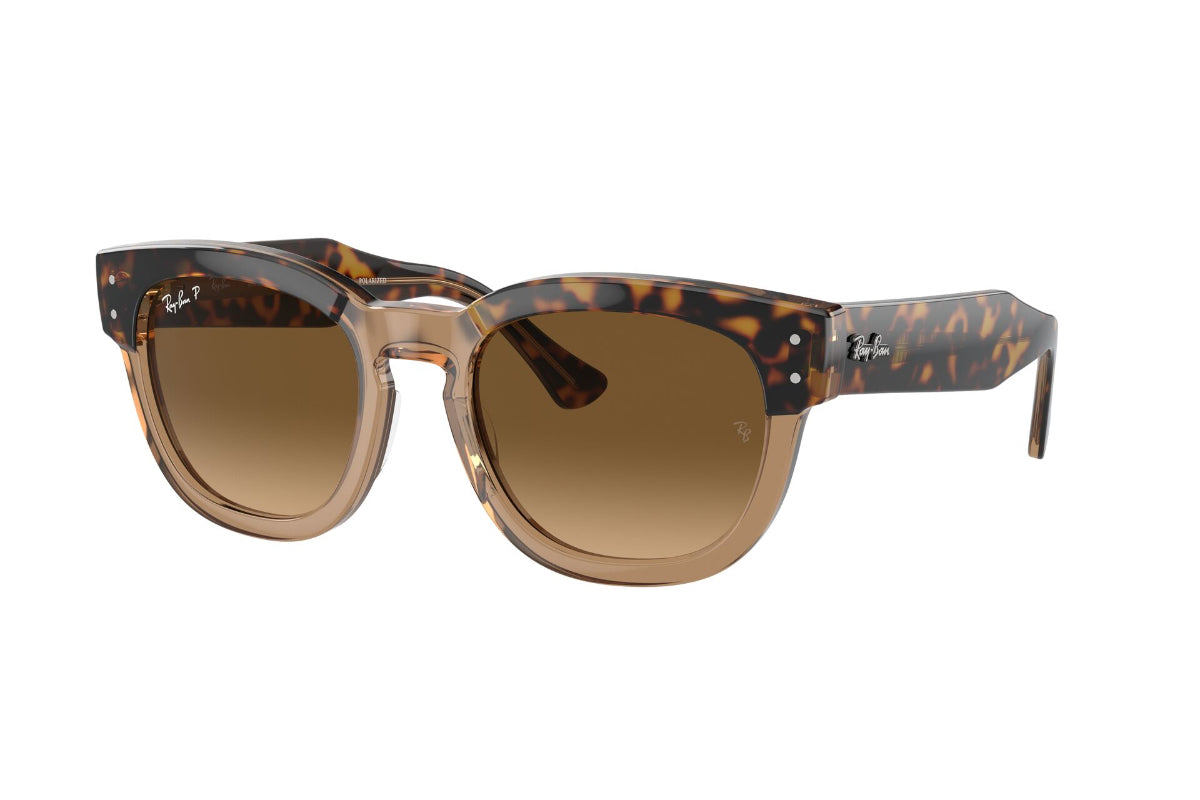 Ray-Ban Mega Hawkeye Polarizados