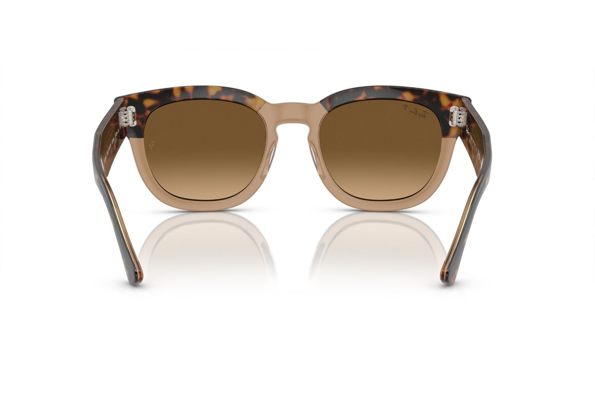 Ray-Ban Mega Hawkeye Polarizados