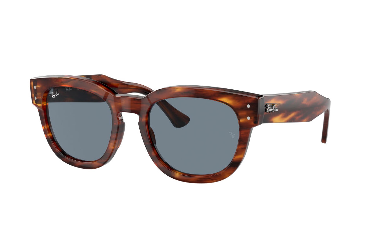 Ray-Ban Mega Hawkeye