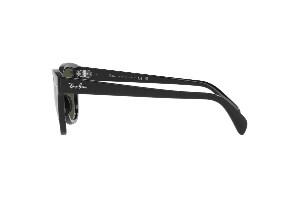 Ray-Ban Lentes de Sol