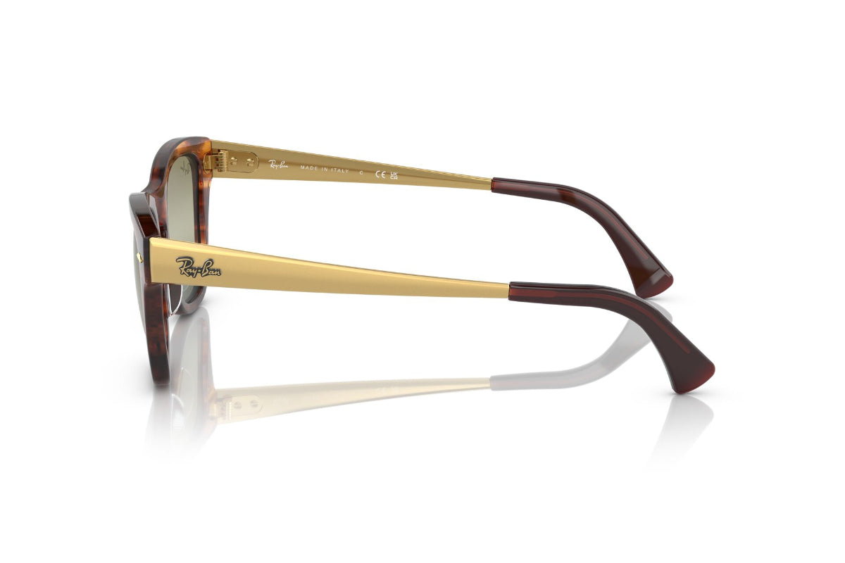 Ray-Ban Lentes de Sol