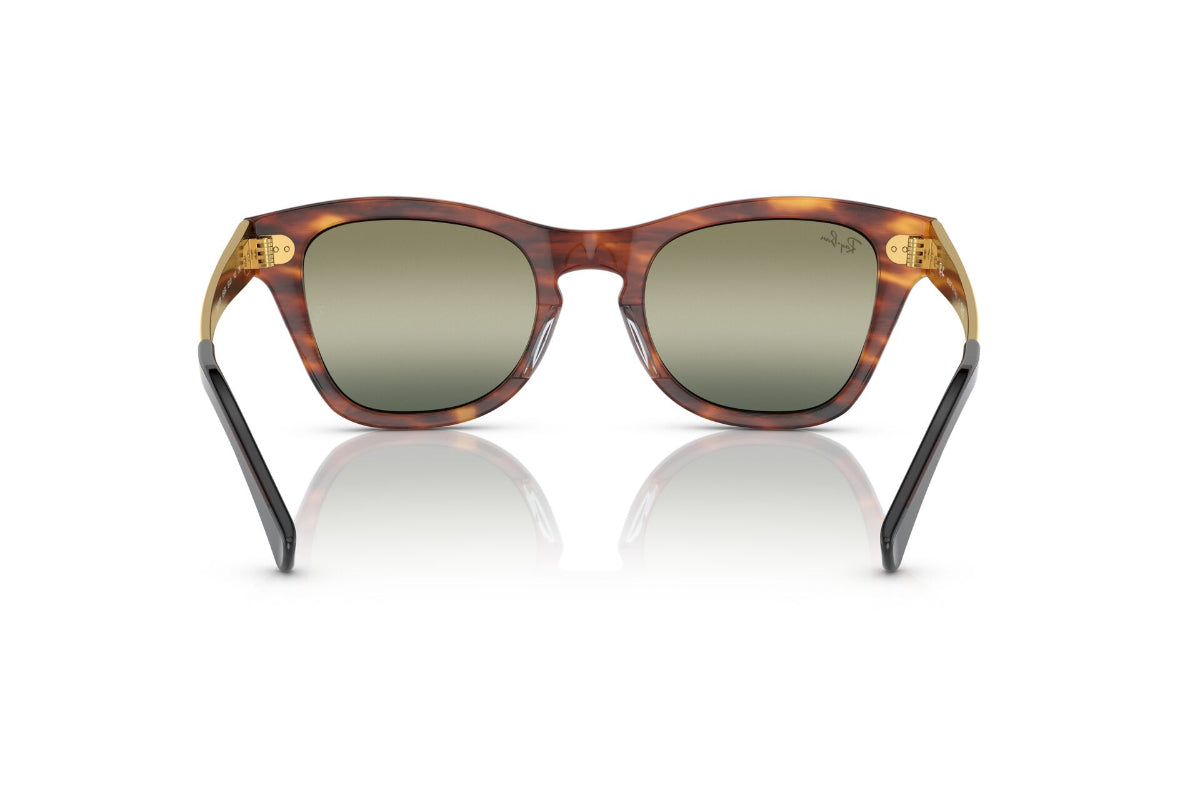 Ray-Ban Lentes de Sol