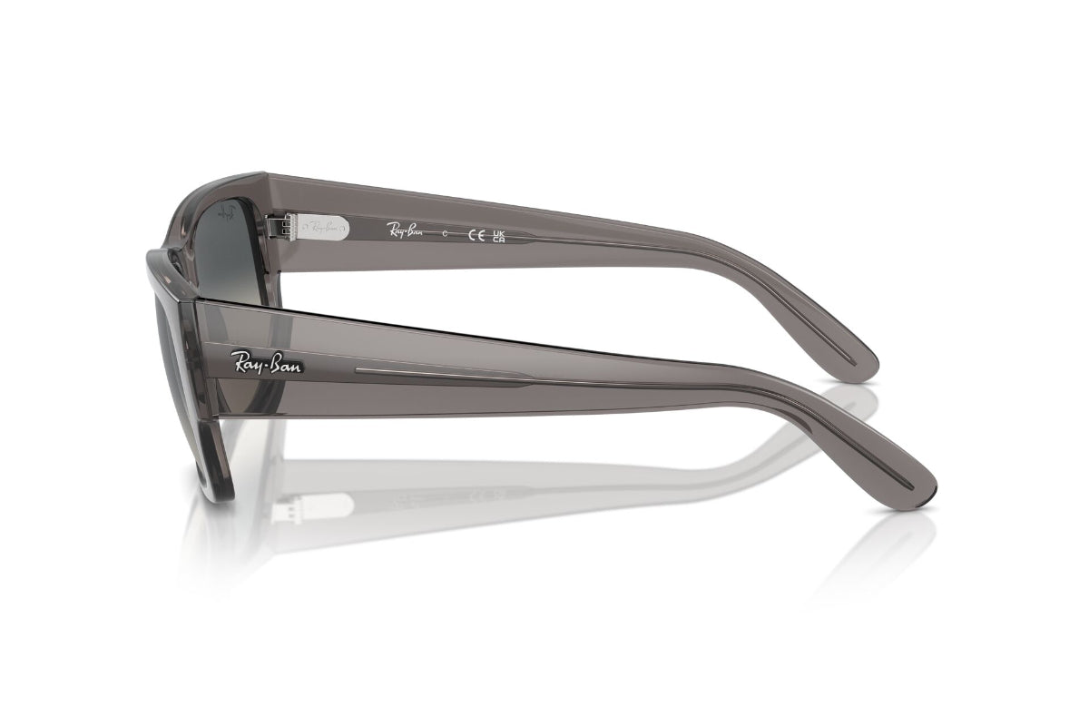 Ray-Ban Carlos Degradé