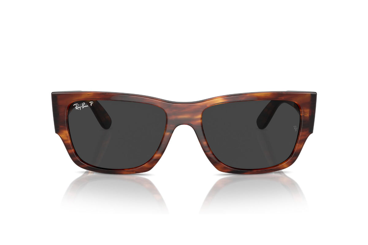 Ray-Ban Carlos Polarizados