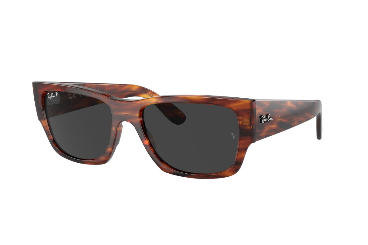 Ray-Ban Carlos Polarizados